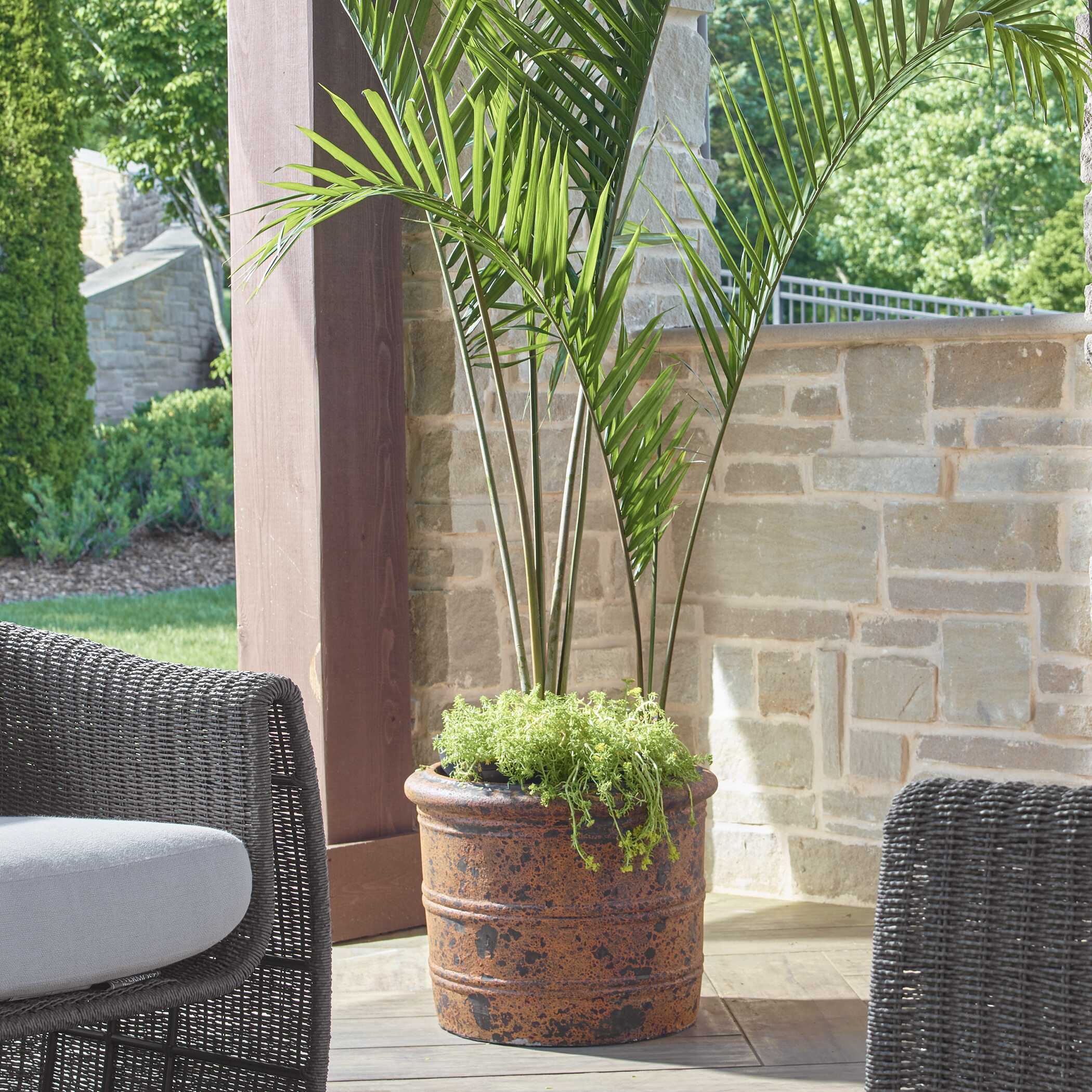 Weathered Relic Rustic Outdoor Planter - Image 2