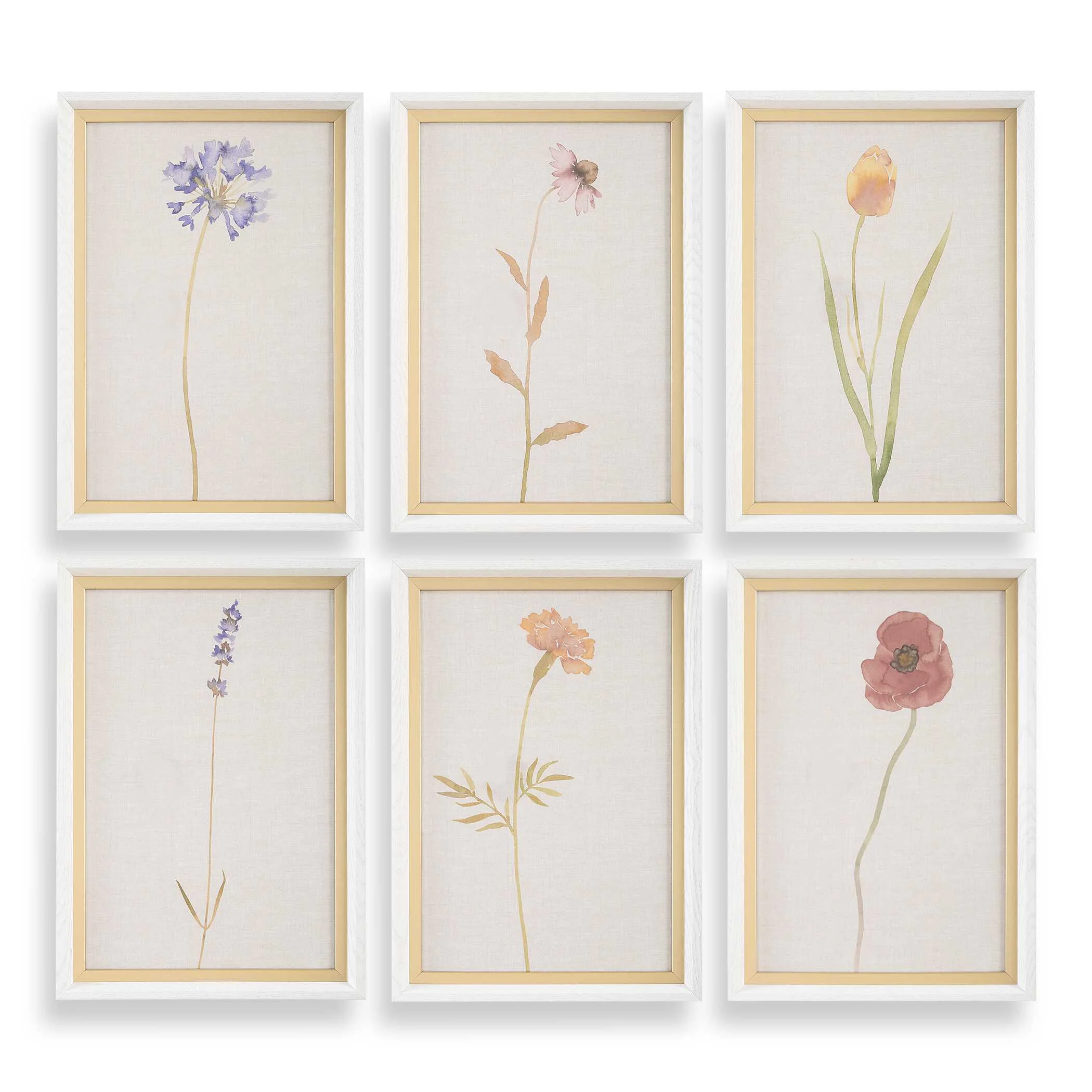 Wild Flourish Framed Floral Prints - Set of 6