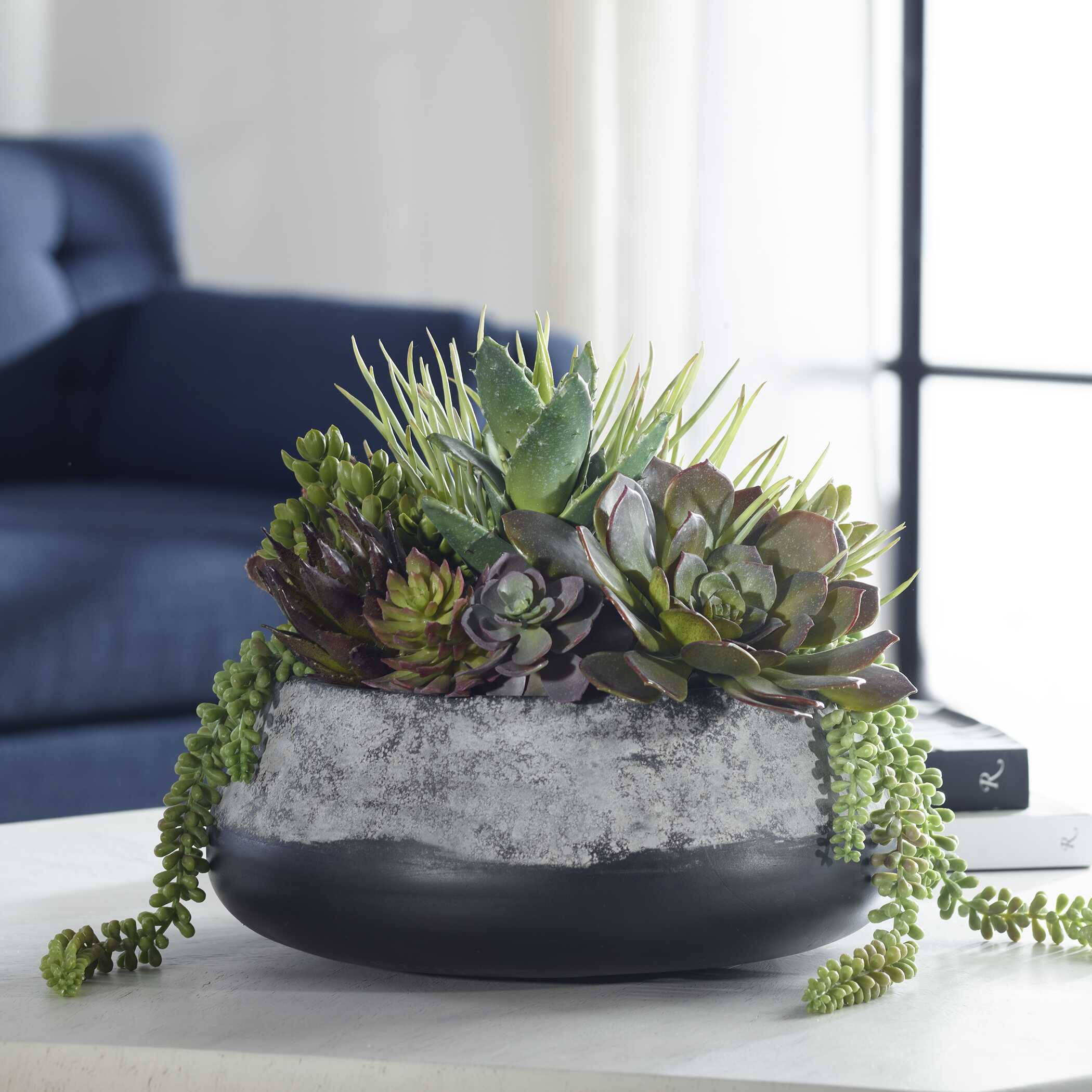 Yuma Succulent Centerpiece Medium - Image 2