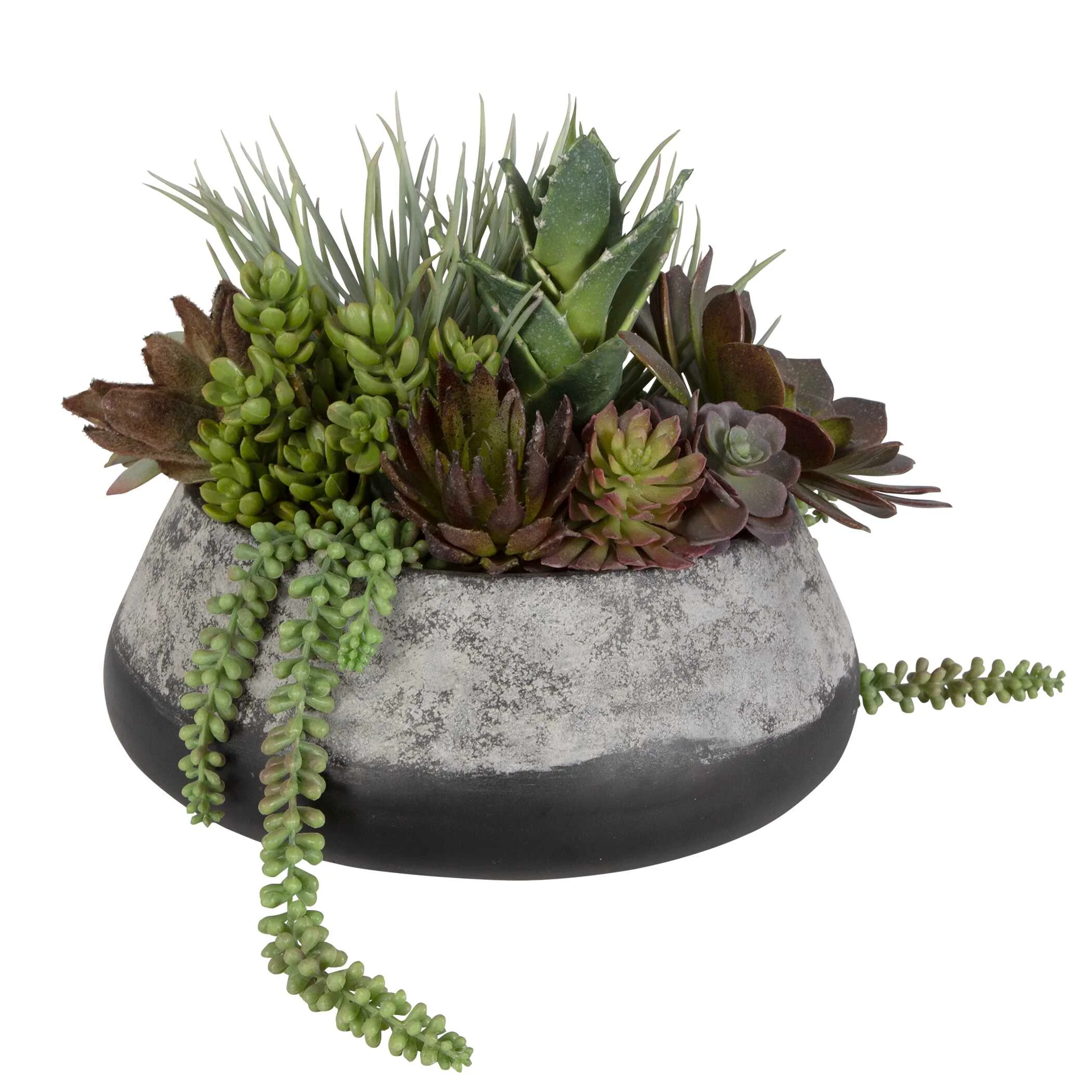 Yuma Succulent Centerpiece Medium - Image 3