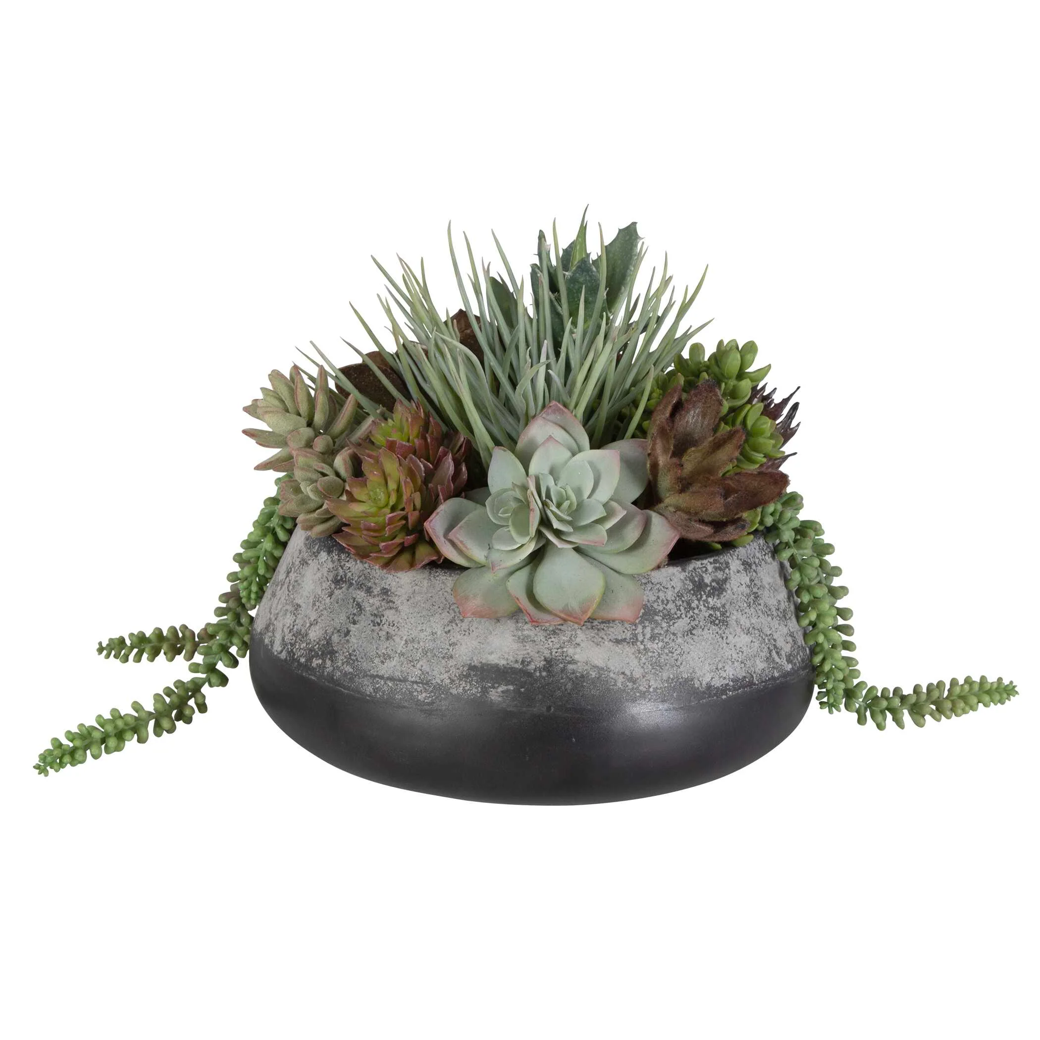 Yuma Succulent Centerpiece Medium - Image 4