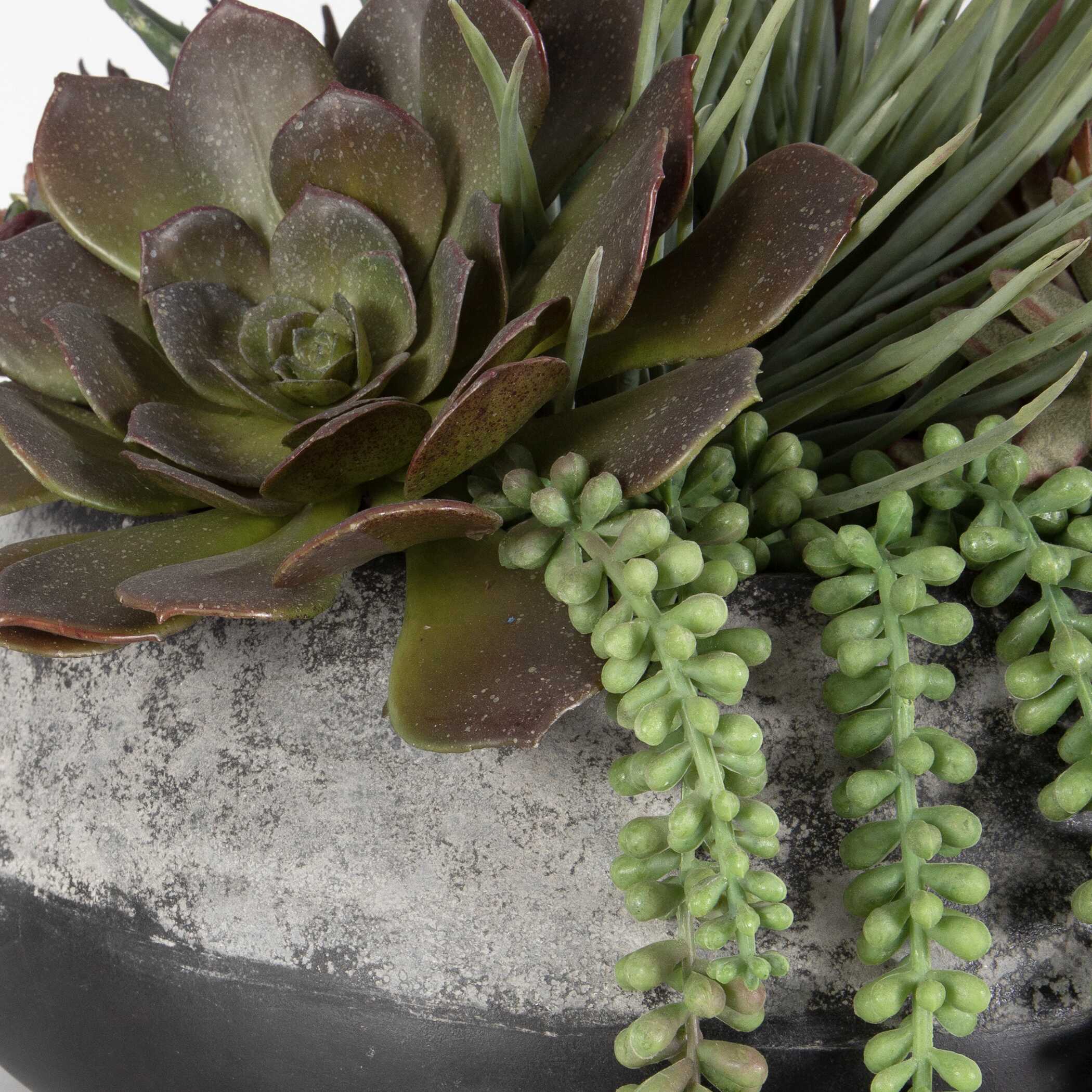 Yuma Succulent Centerpiece Medium - Image 5