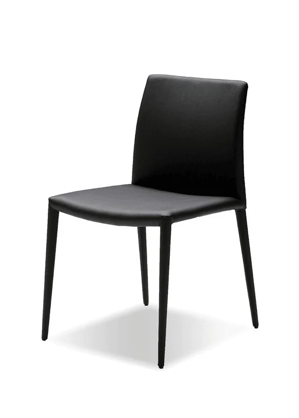 ZENO Dining Chair - Set Of 2