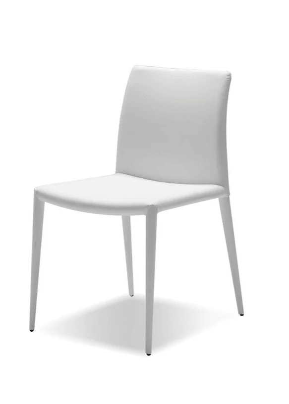ZENO Dining Chair - Set Of 2 - Image 4
